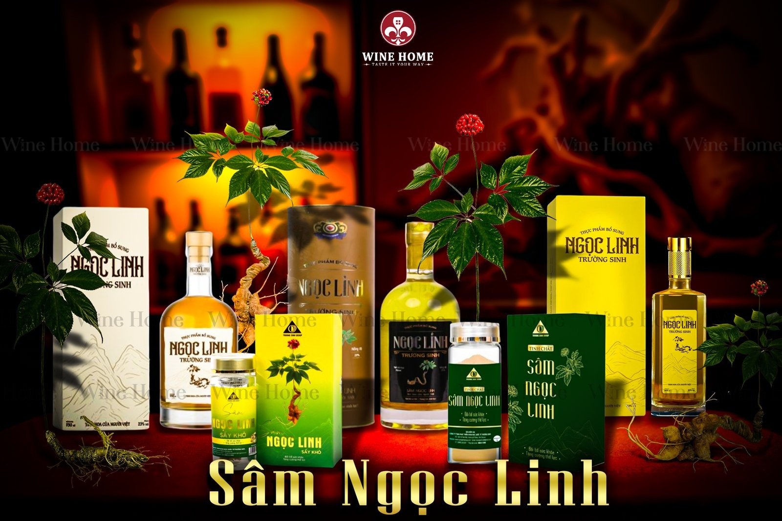 Quà tặng sâm Ngọc Linh