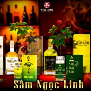 Tinh Chất Sâm Ngọc Linh Trường Sinh