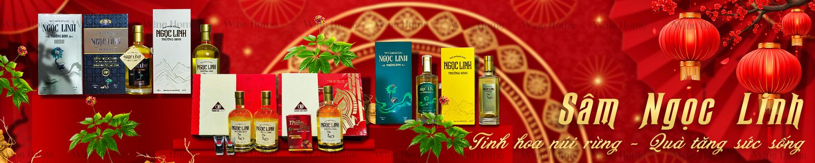 Quà Tặng Sâm Ngọc Linh - Sâm Ngọc Linh Cao Cấp